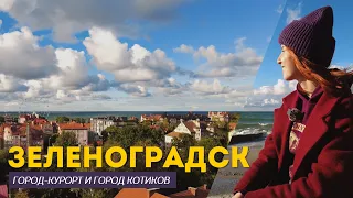 Зеленоградск глазами сахалинки | Впечатления от города-курорта на Балтийском море | сентябрь 2022