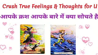 😍Your Crush's True Feelings and Thoughts❤️आपके क्रश आपके बारे मे क्या सोचते है 🔮Tarot Reading