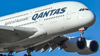 STUNNING Morning Flights | A330 A350 A380 B747 B777 B787 | Melbourne Airport Plane Spotting