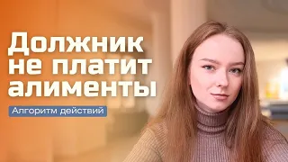 Что делать, если должник не платит алименты?