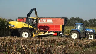 Mais hakselen door loonbedrijf Hulter met New Holland FR700, T7.250 en Fendt 724 Vario (2021)