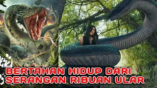 Film Action Fantasy terbaru 2023 | Ribuan Ular menyerang