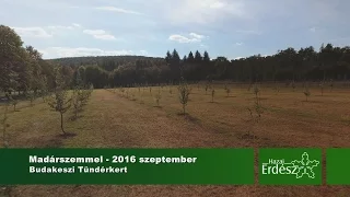 Madárszemmel - Tündérkertek V. Találkozója - 2016.09.24 - Budakeszi