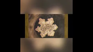 Dr. Masaru Emoto Experiment Results. Water Holds Memory.