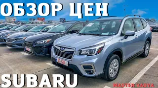 Subaru Forester, Crossrek. Обзор цен на Субару. Рынок Autopapa 2022. Мастер Вадя.