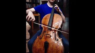 Haydn Cello Concerto No. 1 in C Major | #the1000dayjourney