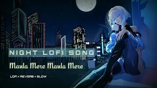 Maula Mere Maula Mere - Anwar | Lofi Song | Lofi × Reverb × Slowed | Night Work Study Chill Music 🎧💗