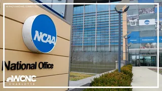 NCAA sued over transgender policies