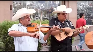 Trío Tordo Huasteco toca El Querreque en La Calle del Huapango en SLP