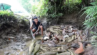 A lot fish in the lake, Used the pump to suck all the water in the lake, Catch a lot of fish