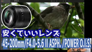 【野鳥撮影】パナソニック 望遠ズームレンズ マイクロフォーサーズ用 ルミックス G VARIO 45-200mm/F4.0-5.6 II ASPH. /POWER O.I.S.