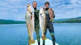 Spearfishing Australia vs England Day 1