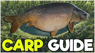 CARP Fishing Guide! - Fishing Planet Tips