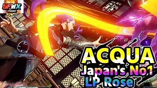 ACQUA Japan's No. 1 LP Rose sf5 Season5 SF5 SFWX 4K  StreetFighter5 sfv sf5ce