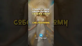 Слушайте свою душу и следуйте своему пути