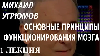 ACADEMIA. Михаил Угрюмов. Основные принципы функционирования мозга. 1 лекция. Канал Культура