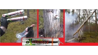 Cobra 8 Firecracker vs Tree (Cobra 8 Di Blasio Elio)