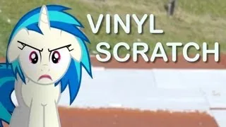 Vinyl Scratch (MLP in real life)