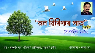 | NAL BIRINAR PAT | নল বিৰিণাৰ পাত | বিহু গীত | ASSAMESE BIHU SONG | DIRECTED BY - RUBUL BORA|