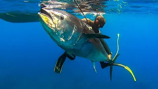 EXTREME BLUEFIN TUNA 200 KG - Carpaccio Day - Ψαροντούφεκο Τούνα 200kg |Spearfishing Life 🇬🇷 ✅