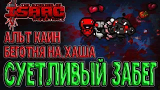 Альт Каин пытается быть быстрым :D / Крафтовый забег на Хаша / The Binding of Isaac: Repentance