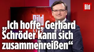 Deshalb kritisiert der ukrainische Außenminister Dmitri Kuleba Altkanzler Schröder