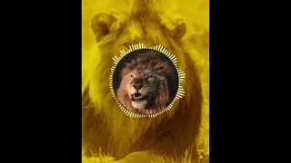 Best lion 🦁 BGM; please subscribe 🙏