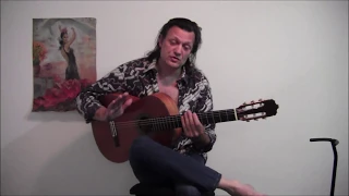 Cours de Guitare. Flamenco  -  leçon 1 ~ iniciation pour débutant