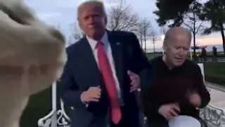 Meme do gato dançando e do presidente Trump - Filipe Castro