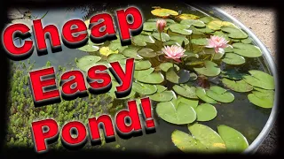 How To Make A Container Pond - Stock Tank Pond - Solar Powered!