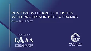 Positive Welfare for Fishes with Professor Becca Franks