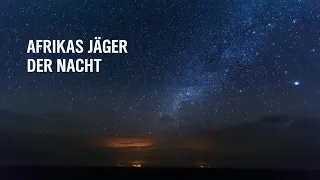 “Afrikas Jäger der Nacht”, Doclights 2020, 43 min, Ausschnitt 1