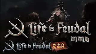 Life is Feudal - New Life