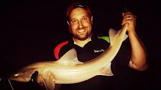 SMOOTH HOUND FISHING IN EASTBOURNE - WOW WHAT A MONSTER! THIS FISH WAS HUGE 😲 (UK SEA FISHING)