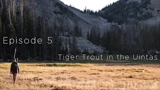 Episode 5: Tiger Trout Fishing in the Uintas