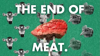 Veganism could save the planet. Here's why.