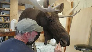 Wood Carving Time-Lapse | Moose