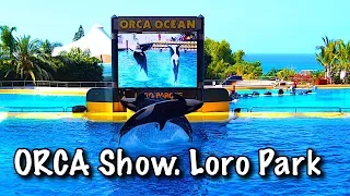 ORCA Show. Loro Park. Tenerife. Canarian Islands