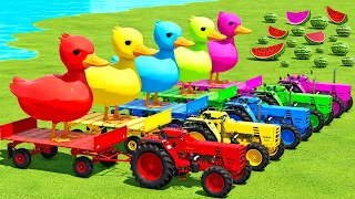 TRANSPORT DUCKS & WATERMELONS WITH CASE & BUHRER COLORED TRACTORS - Farming Simulator 22