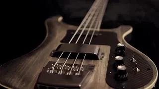 Build your DREAM Rickenbacker Bass for less than $400