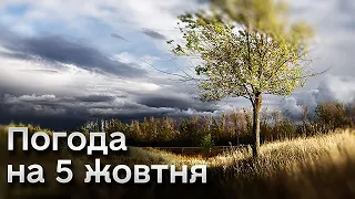 🍁 Погода на 5 жовтня: Удень стане прохолодніше