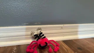 I Made a Pink Spider from Teletubbies!
