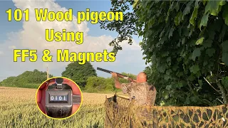 Pigeon Shooting -  101 Wood Pigeon Using FF5 & Magnet