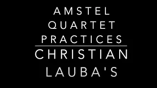 Amstel Quartet: Christian Lauba - Mambo (American Dream teaser)