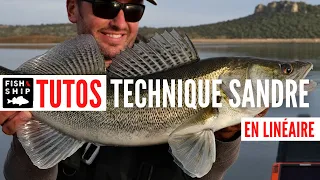 TUTO TECHNIQUE : Pêche du sandre en linéaire