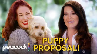 Vanderpump Dogs | Lisa Vanderpump Surprises Couple with a Puppy Proposal