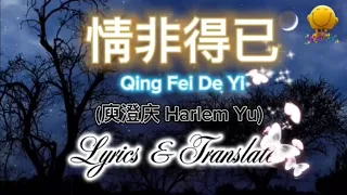 情非得已(Songs with lyrics & translate