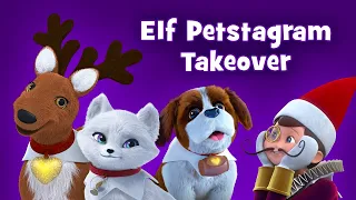 COCOA WITH JOE - ELFLUENCER SERIES | Elf Petstagram Takeover