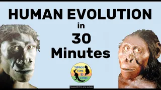 Human Evolution in (under) 30 Minutes