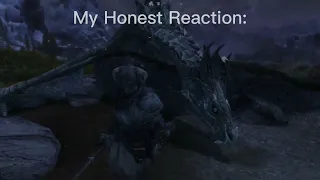 Dragonborn`s Honest Reaction